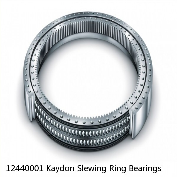 12440001 Kaydon Slewing Ring Bearings #1 small image