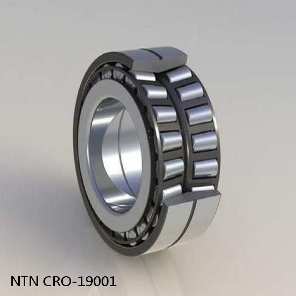 CRO-19001 NTN Cylindrical Roller Bearing #1 image