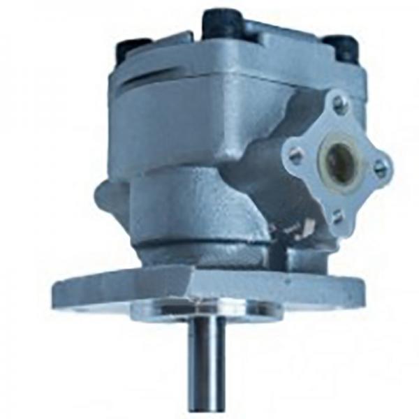 Kompass 150T-48 Fixed Displacement Vane Pumps #1 image