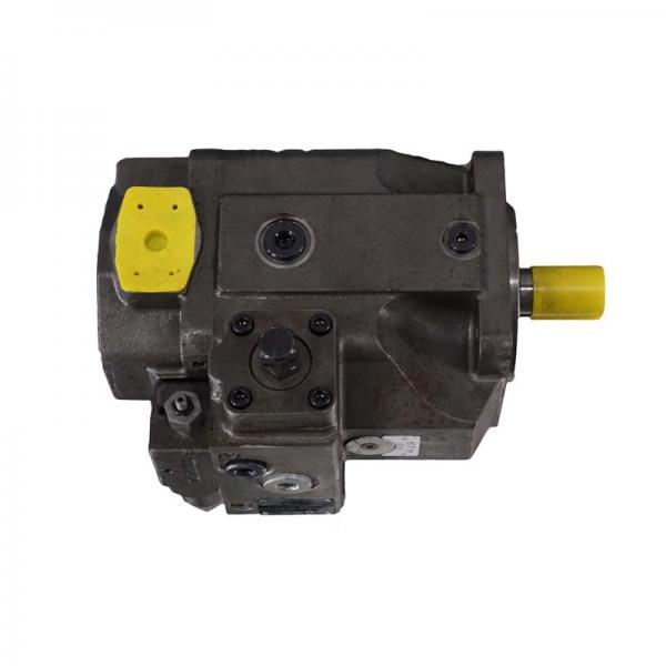 Rexroth A10VSO45DFLR/31L-PPA12K26 Axial Piston Variable Pump #1 image